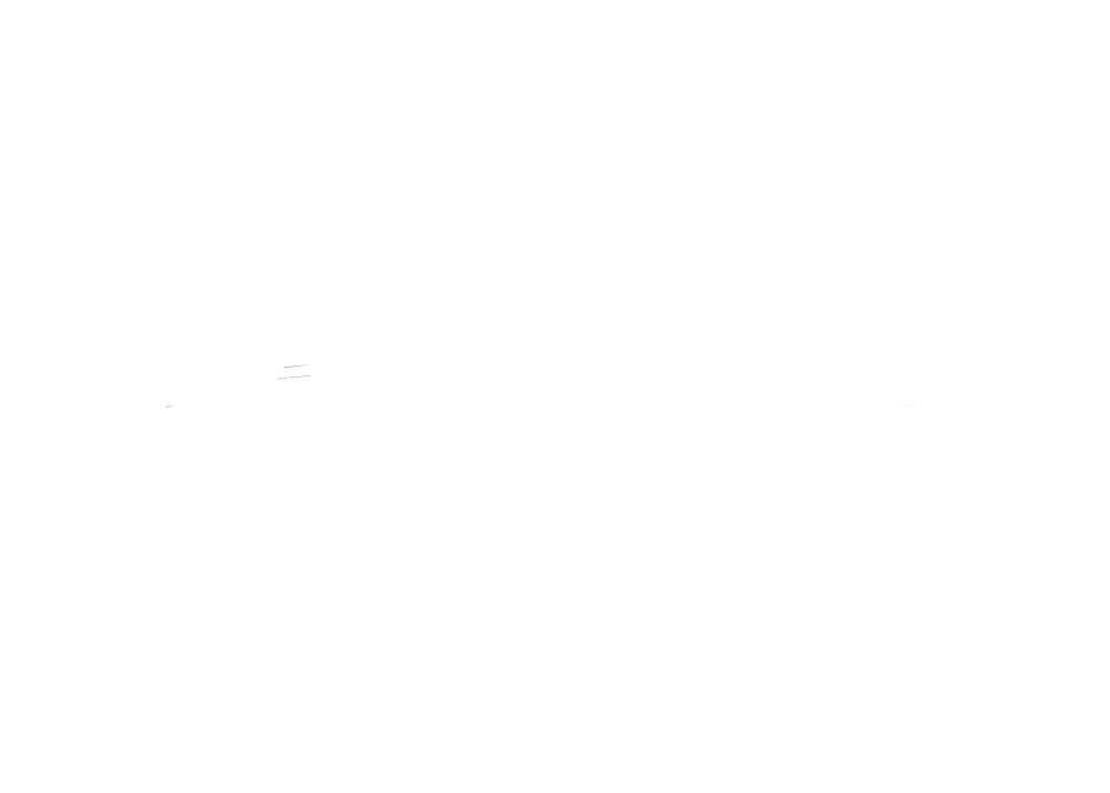 Panacea Canada Inc