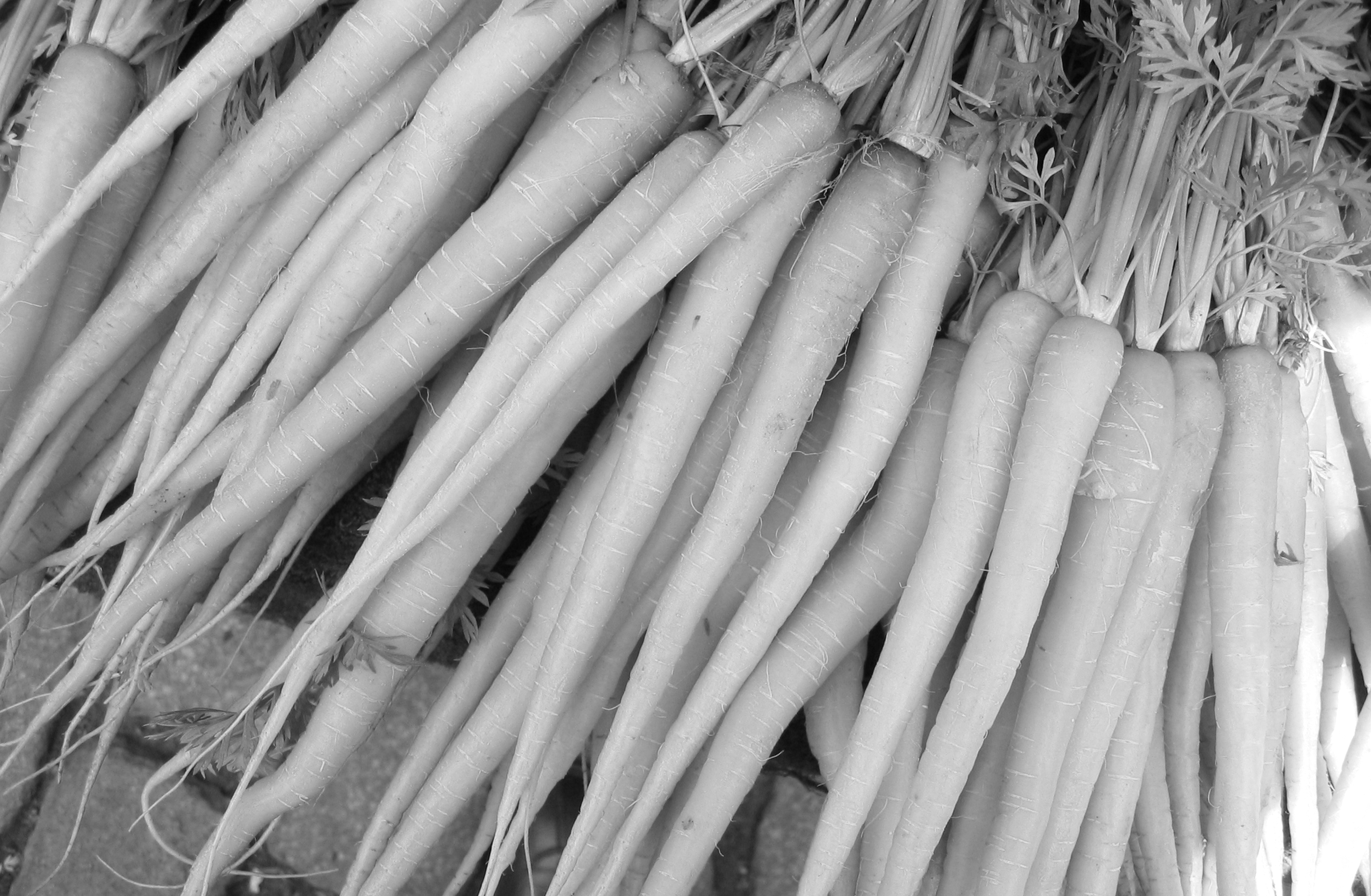 image-main Fraser & Hoyt Incentives