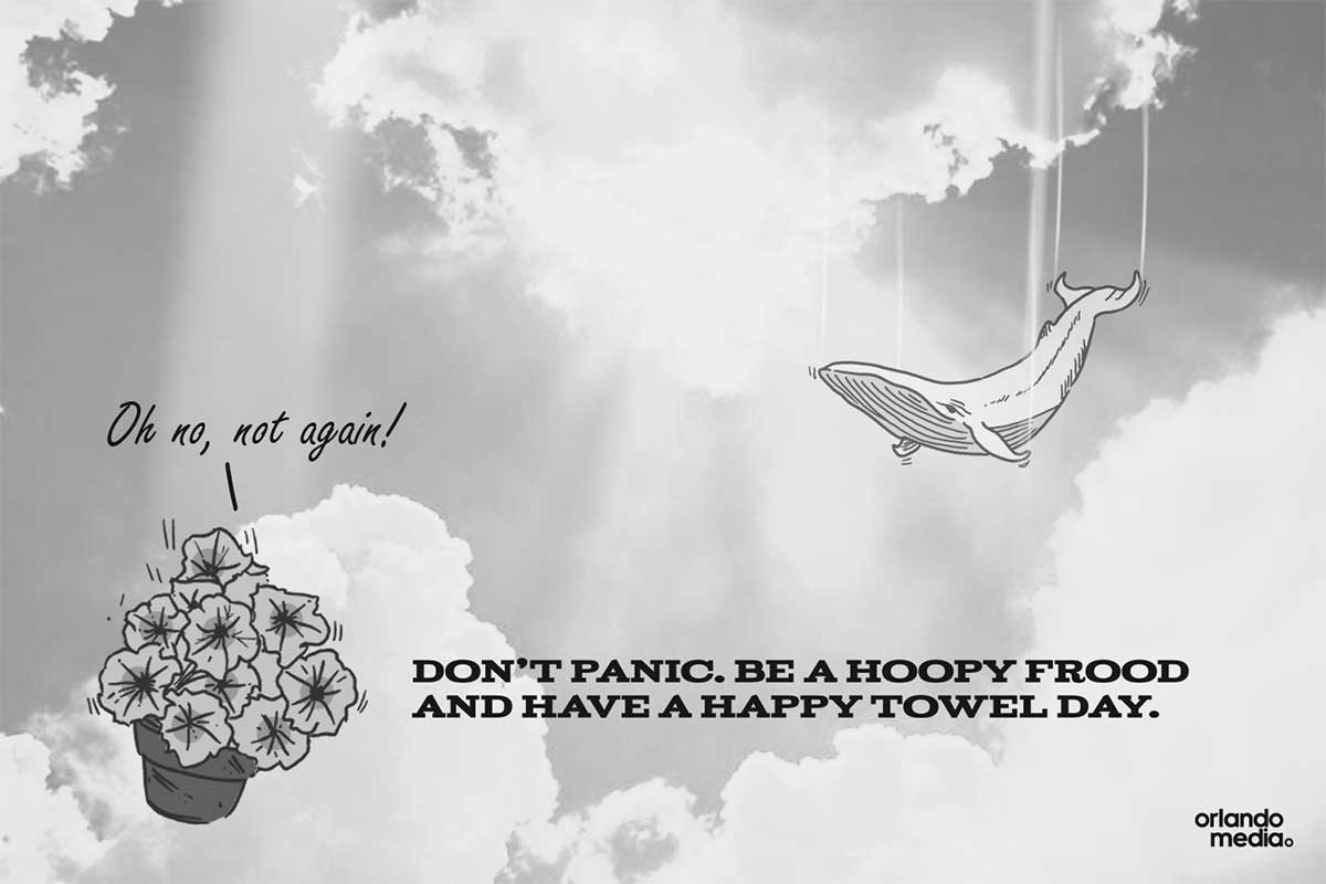 Happy-Towel-Day_blog Don't Panic. Be a Hoopie Frood and have a Happy Towel Day!