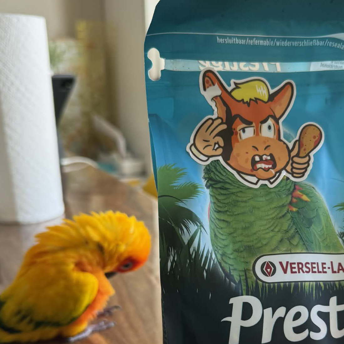 NVLTY: Sticker Dump 3-pack - Image 3