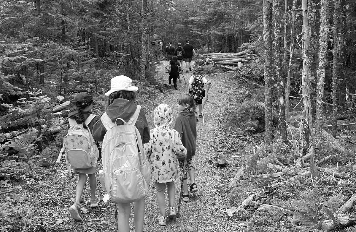 replace-image-forestwalk