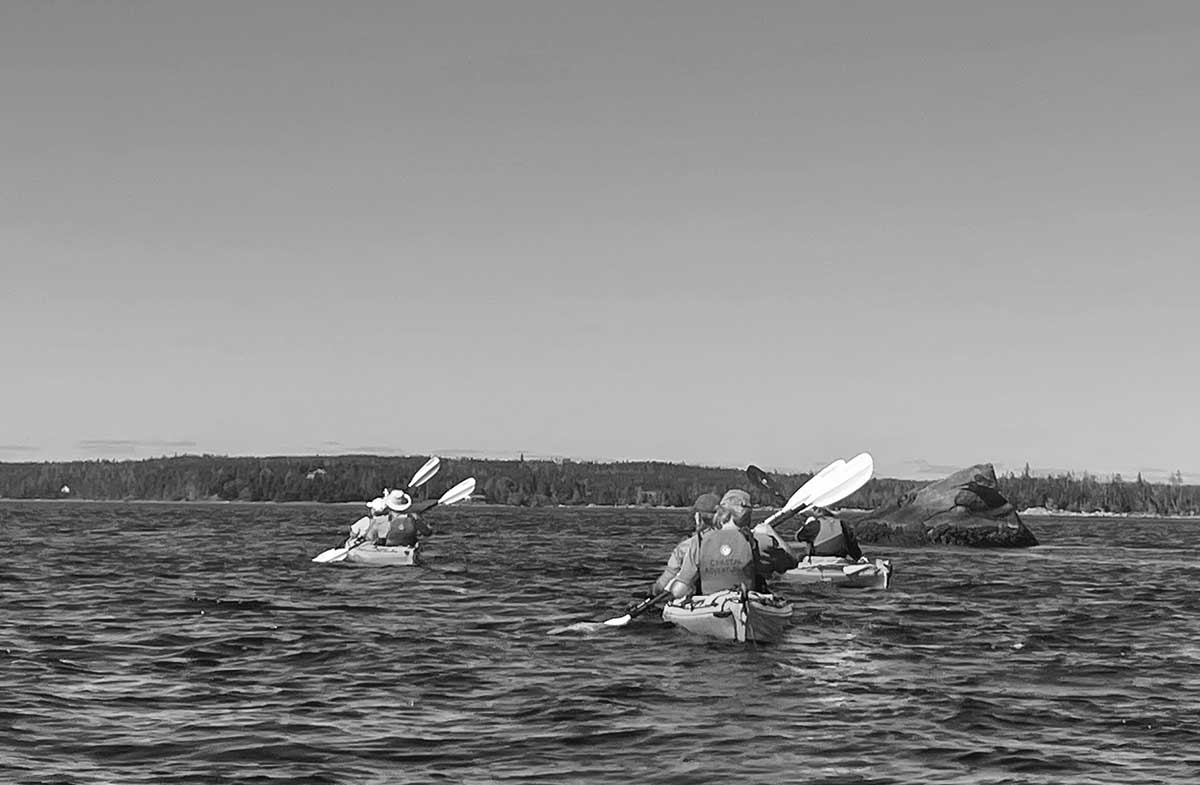 replace-image-inthewater