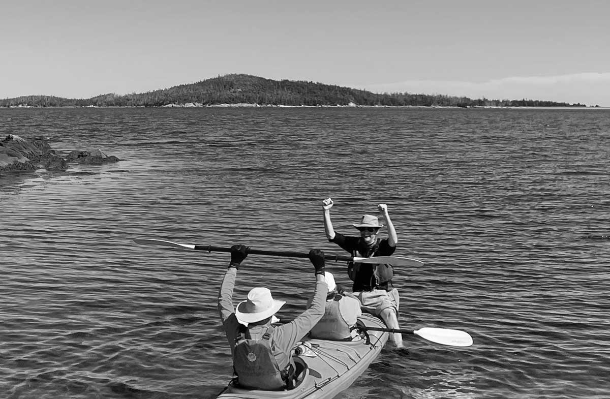 replace-image-paddle